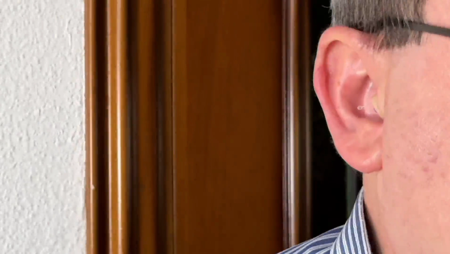 Nebroo PRO 3.0 hearing aid small nearly invisible design
